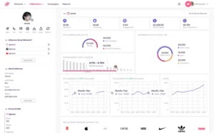 Influencity dashboard displaying in-depth influencer analytics and performance metrics
