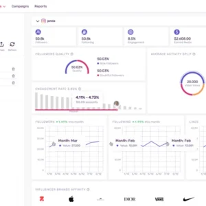 Influencity dashboard displaying in-depth influencer analytics and performance metrics