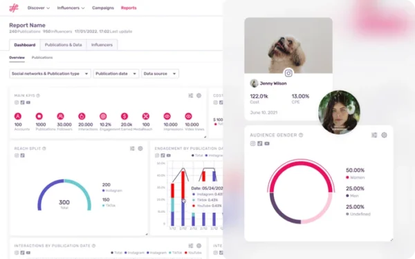 Influencity campaign report interface showcasing ROI insights and visual charts
