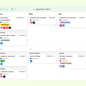 Loomly content calendar dashboard showing posts scheduled across multiple platforms