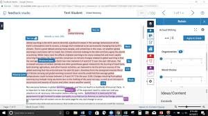 Turnitin Feedback Studio Demo