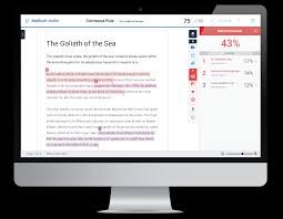 Turnitin Feedback Studio walkthrough video guide