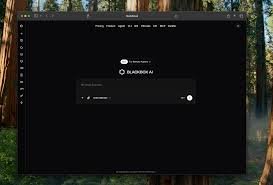 Web App - BLACKBOX AI