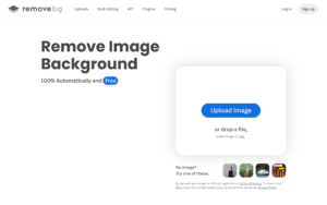 Remove.bg dashboard, Remove.bg interface screenshot, Remove.bg app UI,